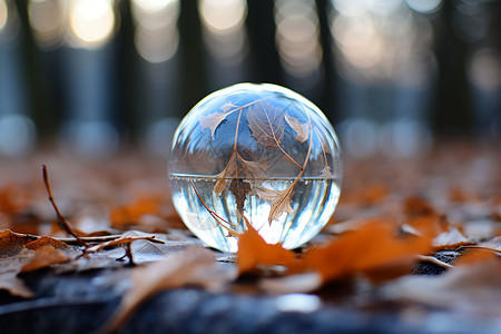 秋季落叶上的水晶球高清图片