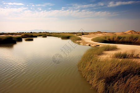 美丽的沙湖风景区景观图片