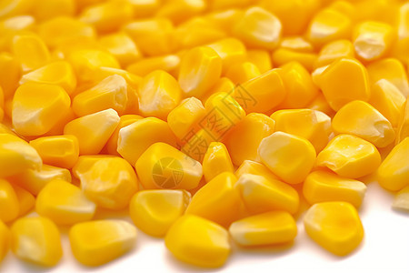 金黄色玉米粒的特写镜头图片