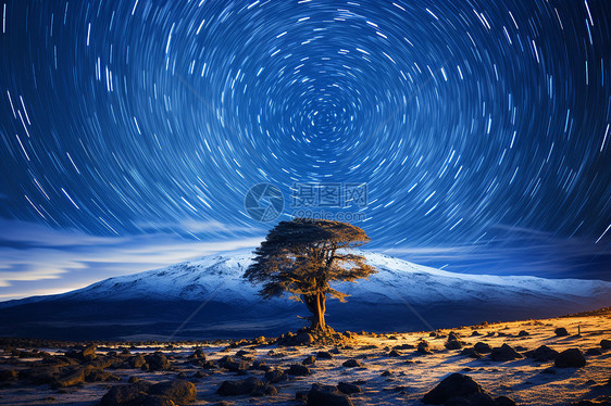 璀璨星空下宇宙之树图片