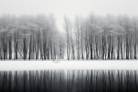 冬日黑白水中倒影图片