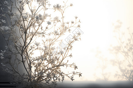 阳光下一棵有白花的树图片