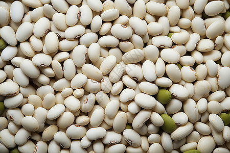 白芸豆食物图片