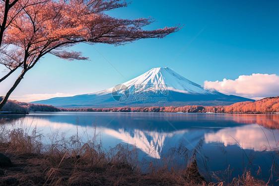 雪山倒映在湖泊上图片