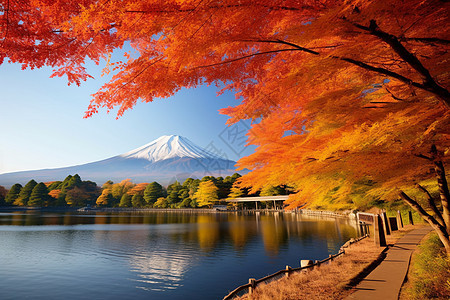 雪山下的湖泊枫叶图片