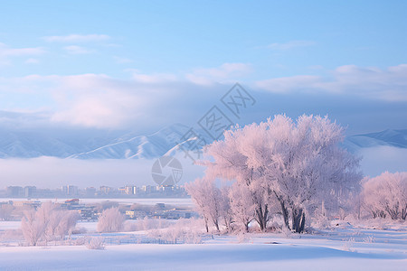 冰雾中的冰雪奇景图片