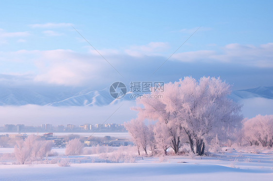 冰雾中的冰雪奇景图片