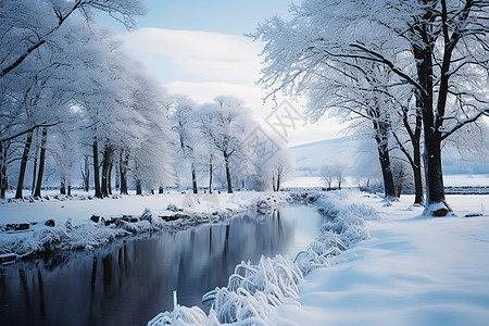 冬季美丽的林间河流景观图片