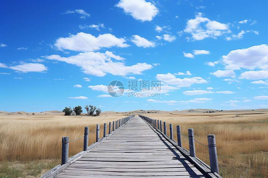蓝天白云下的田野木桥图片