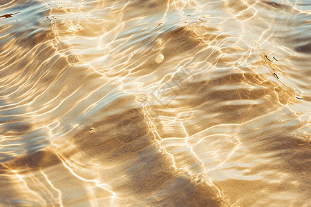 阳光下大海的波纹图片