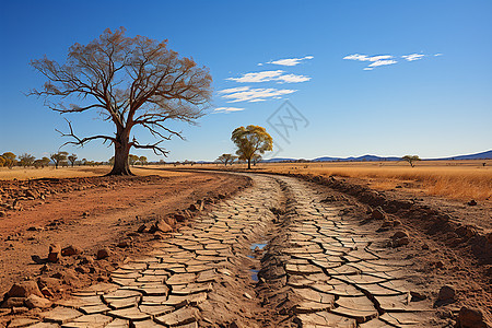 自然干旱的荒凉地面图片