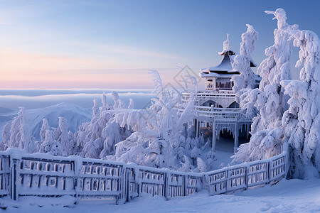白雪皑皑的冬日仙境图片