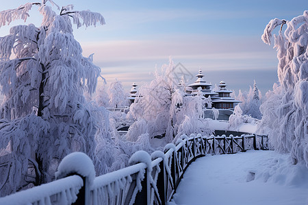 冬日温泉寒冷冬季的白雪公园背景