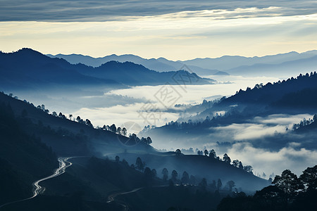 云雾山林日出迷雾笼罩的山间景观背景