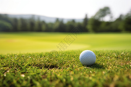 绿茵场上的高尔夫球图片