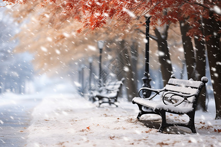 冬日雪中的梦幻公园背景图片