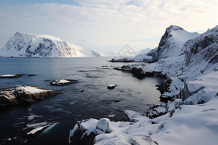 冬季冰雪覆盖的北冰洋景观图片