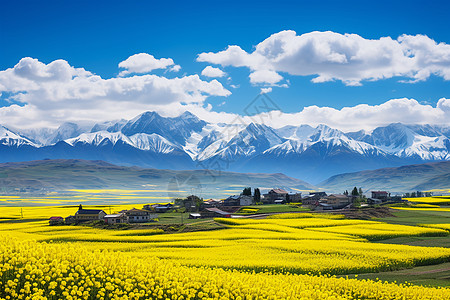 山花烂漫乡村风光高清图片