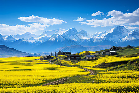 高山花山花烂漫旷野美景背景