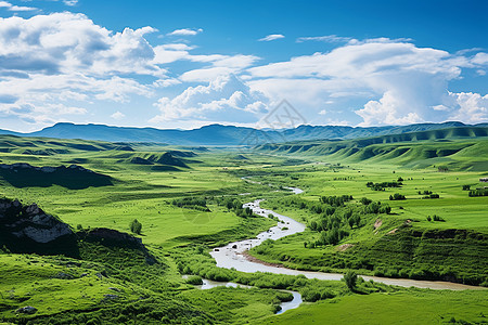 花插画山河如画背景