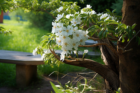 春季花园中绽放的魅力花朵背景图片