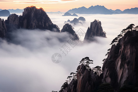 日出黄山云海的美丽景观图片