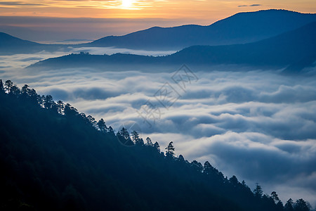 烟雾森林云中日出山脉背景