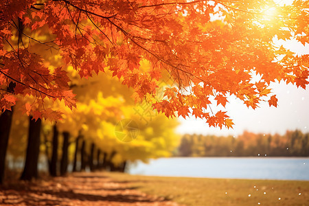 秋天的色彩场景图片