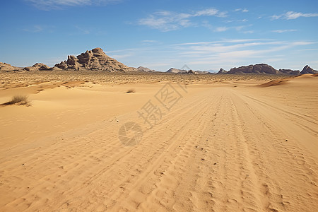 沙漠之美图片