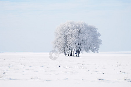 冬季辽阔的雪地景观图片