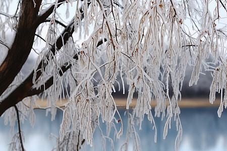 静谧冬日湖景图片