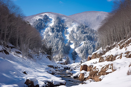 雪山风景图片