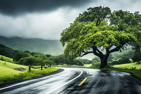 绿色公路乡村雨天公路之旅背景
