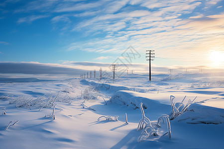 白雪覆盖美景图片