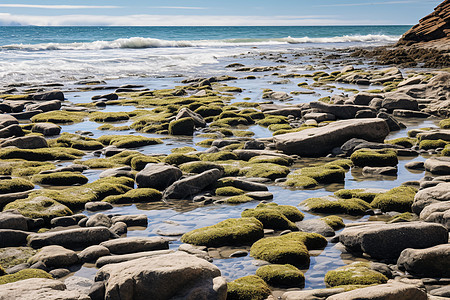翠绿岩石上的海滩图片