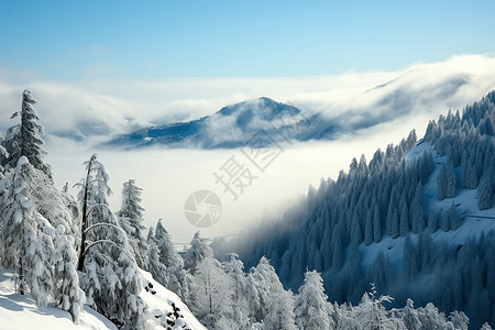 充满薄雾的雪山图片