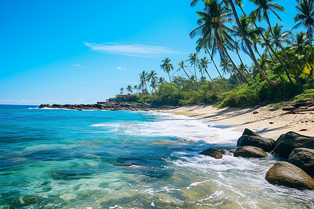 碧海蓝天棕榈树与沙滩高清图片