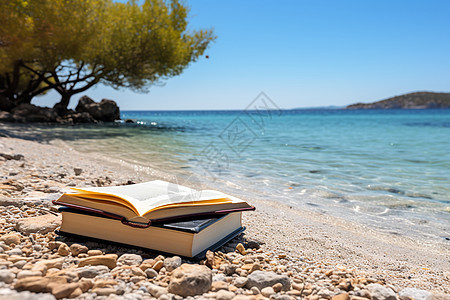 树下的书和海滩图片