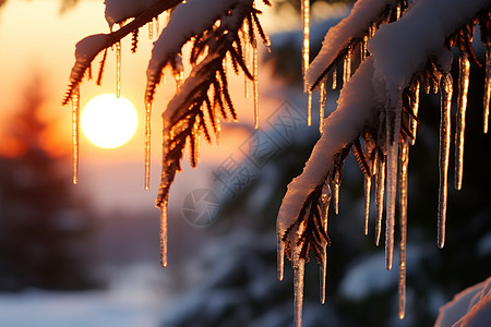 雪地背影冰上的夕阳背景