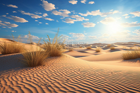 沙漠绿洲沙丘图片