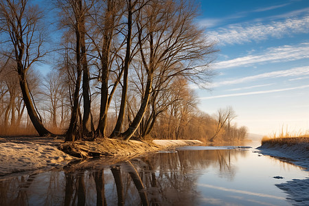 冬天插画冬日的多瑙河畔背景