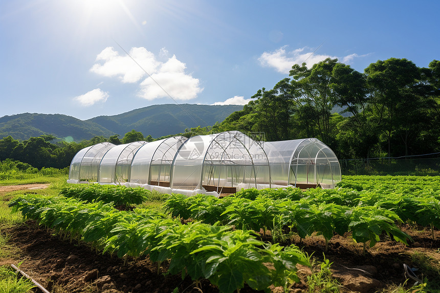 山野间的大型温室图片