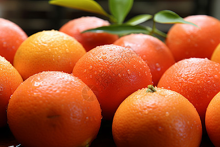 一片绿叶的橙子背景图片