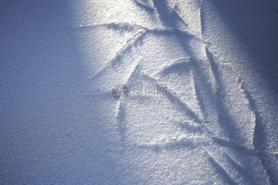 阳光下雪地的冰雕图片