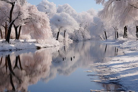 冬日冰雪奇景图片