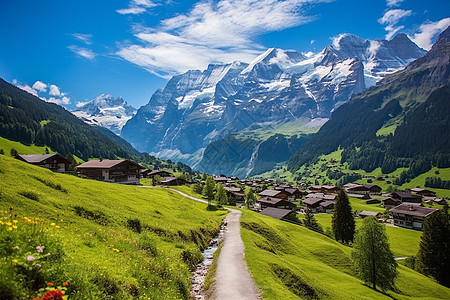 瑞士乡村夏季充满生机的高山景观背景