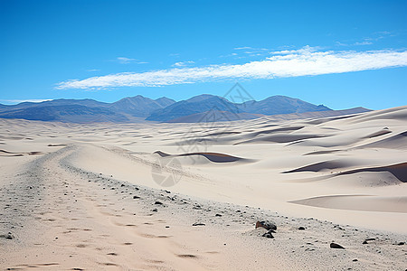 沙漠中的一条土路图片