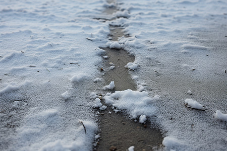 雪地艺术图片