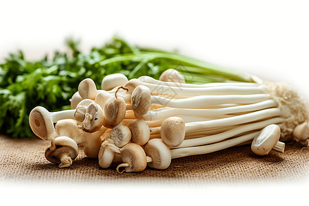 美味的蔬菜蘑菇图片