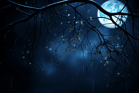 树枝上挂着的满月高清图片